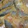 Cooksnap dari Nia Litha untuk resep Pesmol Ikan Kembung