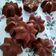Cooksnap dari Dewi Malaika Khadija untuk resep Bolu SAKURA (Tanpa Telur)