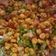 Priti Shah's cooksnap of when they made ચણા ની દાળ ચાટ (Chana Dal Chaat Recipe In Gujarati).