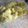 Areeba Muhammed's cooksnap of when they made Wontons.