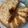 Cooksnap dari Nindiastuti Mintarsa untuk resep Palm Sugar Cake #Glutenfree #GFCF