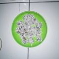 Cooksnap dari Laila Intan untuk resep Klepon Hijau