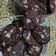 Cooksnap dari Fatma Faniez untuk resep Brownies Cookies