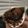 รูป Cooksnap ของ Becky เมื่อเขาทำ บราวนี่เนื้อหนึบ หม้ออบลมร้อน (Fudgy brownie)