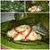 Cooksnap dari Siswaty Elfin Bachtiar untuk resep Pepes udang