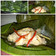 Cooksnap dari Siswaty Elfin Bachtiar untuk resep Pepes udang