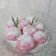 Cooksnap dari Ni Komang Suartini Eka Putri untuk resep Mochi simple ala puncak