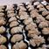 Cooksnap dari faniyulandari untuk resep White choco almond cookies