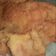 Cooksnap dari Yuli Wardani untuk resep Telur dadar crispy
