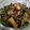 Cooksnap dari Deviama untuk resep Oseng terong kcg panjang