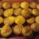 El cooksnap de Freddy Miranda cuando hizo Queque con ralladura de limón 🍋.
