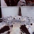 Cooksnap dari Aqila V untuk resep Puding oreo susu
