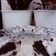 Cooksnap dari Aqila V untuk resep Puding oreo susu