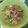 Cooksnap dari Ａｍｉ Ｓｕｃｉａｎａ untuk resep Soto Daging Kuah Bening