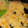 El cooksnap de Luciana Lalli cuando hizo Risotto de calabaza y arroz doble Carolina.