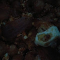 El cooksnap de Carmeta cuando hizo Garbanzos con huevo y picadillo.
