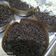 Cooksnap dari Umi Aisyah untuk resep Martabak Brownies Mini
