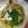 Cooksnap dari Ayu Lestari untuk resep Pindang Patin Kuning (Kids Friendly)