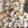 Cooksnap dari Iya Assaqa untuk resep Popcorn asin