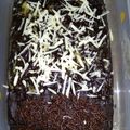 Cooksnap dari Wismasastra Hilmiza untuk resep Brownise kukus serba 6 sdm no mix no oven