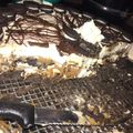 El cooksnap de alexia lucena cuando hizo Torta oreo doble.