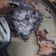 El cooksnap de Diego Santiago Plaquin cuando hizo Galletitas integrales de avena y cacao.