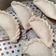 Cooksnap dari Yanti Anton untuk resep Pempek Pistel