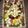 Meenarh kitchen nd more's cooksnap of when they made Salad Arrangement.