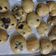 Cooksnap dari Dapur_Rafajar untuk resep Vanilla milk mini sweet bun (no ulen)