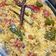 Cooksnap dari Fahra Rizwari untuk resep Nasi Briyani Ayam