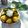 Cooksnap dari Cut Listiya untuk resep Apem Daun Nangka