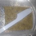 Cooksnap dari Nadia untuk resep Kue pisang keju simpel cuma 5 bahan MPASI 8-12 bulan