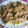 El cooksnap de nativiti cuando hizo Ensalada de Escandinavia.