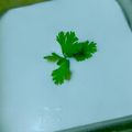 صورة من الشيف اسراء مصطفى ، شاركها بعد تجربة وصفة ثوميه بالزبادي