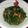 Cooksnap dari Regina Kusuma untuk resep Tumis kangkung terasi