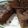 Cooksnap dari Cah Aya Aii Nii untuk resep Bolu Panggang Chocolatos