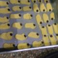 Cooksnap dari Mira Agustini untuk resep Semprit susu 3 bahan
