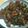 Cooksnap dari Carolina A. Tutuboy untuk resep Chicken Teriyaki