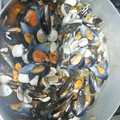 El cooksnap de Elisabet AB cuando hizo Mejillones a la marinera.