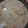 Cooksnap dari amelia pitha frutablend untuk resep Sup Krim Ayam (Chicken Cream Soup)