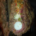 El cooksnap de marcela cuando hizo Pan de carne relleno.