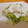 El cooksnap de Salma cuando hizo Espaguetis de calabacín con pollo y salsa de yogur.