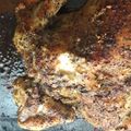Sibonisile Mdluli's cooksnap of when they made Salt and Pepper Roast chicken.
