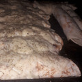 El cooksnap de Ivi Fran cuando hizo Salsa blanca a mi manera.