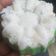 Cooksnap dari Anna Bundanya ALsya untuk resep Putu Ayu