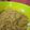Cooksnap dari Elisa Blessing untuk resep Bihun Goreng