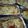 Cooksnap dari Sunarmini Luh untuk resep Lasagna Super Cheesy