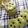 Cooksnap dari Nirastorytummy untuk resep Matcha chocochip cookies