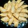 Seema Raghav का कुकस्नैप जब उन्होंने मावा गुजिया (mawa gujiya recipe in Hindi) बनाया था।
