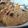 Cooksnap dari stnurfitria untuk resep Roti tawar sourdough